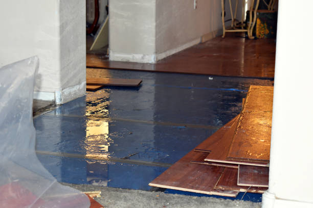 Professional Water Damage technician working in Chester, MA