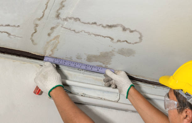 Reliable Water Damage contractor in Chester, MA by Water Damage Irwin